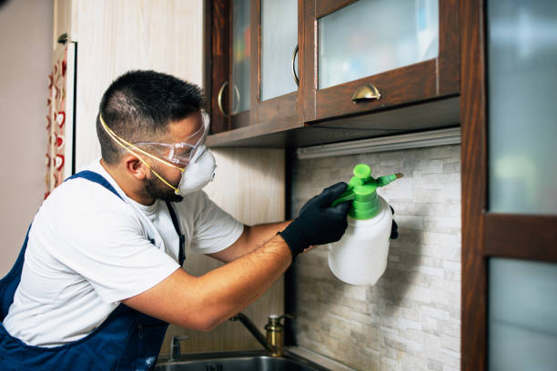 Best Flea Control Services  in Corydon, IN