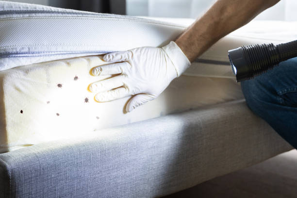 Best Pest Removal Services  in Corydon, IN